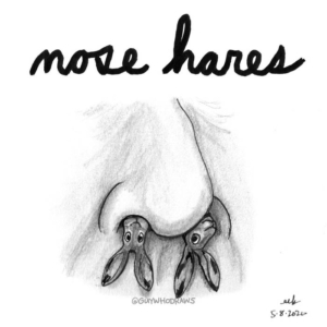 Anatomy, Animals, Badpuns, Facial Hair, bunnies, bunny, grooming, hare, hares, lowbrowpopsurrealism, manscaping, minneapolisartist, nose, nosehair, nosehairextensions, nosehairtrimmer, pundemonium, rabbit, strangeart, weirdoart