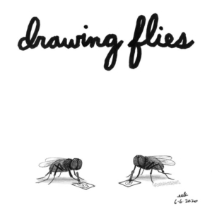 Animalsist, Badpuns, drawingart, drawingday, drawingflies, drawingisfun, flies, insects, kevinsmith, lowbrowpopsurrealism, minneapolisartist, pundemic, soundgarden, strangeart, weirdoart