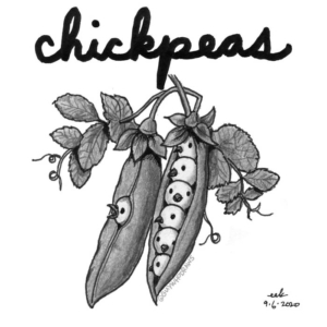 Animals, Badpuns, babychicks, chickens, chickpeas, chicks, food, garbanzos, hummus, legumes, lowbrowpopsurrealism, minneapolisartist, peapod, peas, peasinapod, plants, pundemic, strangeart, weirdoart