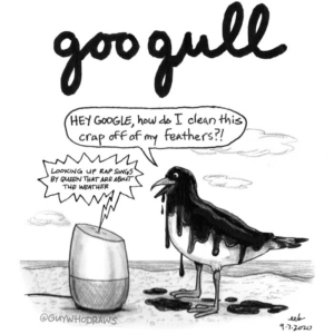 Animals, Technology