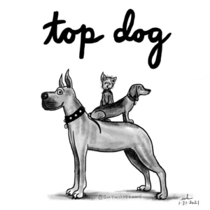 applepencil, arf, dachshund, dachshunds, dog, dogs, greatdane, leadership, manager, mansbestfriend, procreateart, pundemic, topdog
