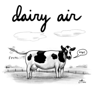 Butt, buttocks, cow, cowprint, cows, derriere, fart, farting, fartmemes, farts, gas, hinder, pundemic, tuchus