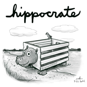 applepencilart, bird, birds, box, crate, cratestyle, hippo, hippopotamus, hippos, hypocrisy, hypocrite, procreateart