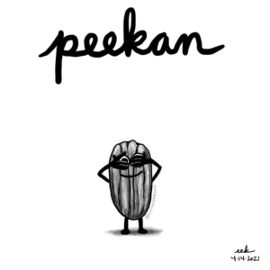 applepencilart, cute, icanseeyou, nationalpecanday, nuts, nutsandseeds, pecan, pecanpie, pecans, peek, peekaboo, procreateart