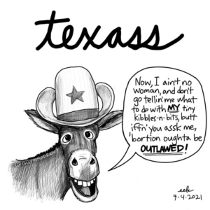 abortionban, abortionrights, applepencilart, ass, behindthetimes, donkey, mule, plannedparenthood, procreateart, redneck, texas, texass, womensrights