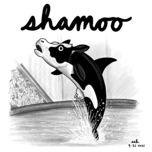 cow, killerwhale, moo, orca, seaworld, shamu, whale, whales