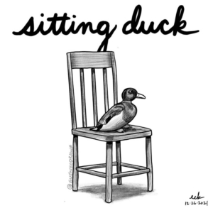 duck, duckhunting, ducks, easytarget, mallard, quack, quackquack, sitting, sittingduck