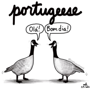 Greetings, geese, goose, nationalpoultryday, ola, portugal, portuguese, poultry