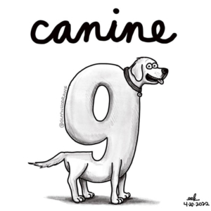 9, anniversary, canine, dog, dogs