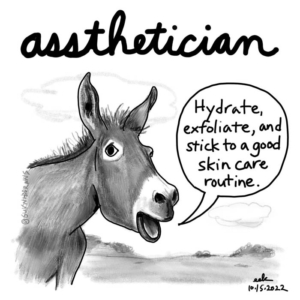 aesthetician, donkey, donkeys, esthetician, mule, nationalaestheticianday, skincare, skincareroutine, skincaretips