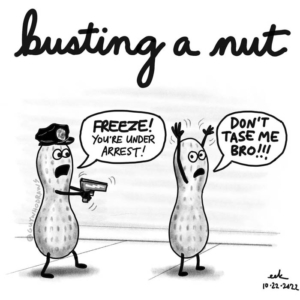 bustanut, busted, bustinganut, donttasemebro, justice, nationalnutday, nutday, nuts, nutsfornuts, peanutlover, peanuts, underarrest