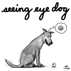dog, doglife, dogs, eye, eyeball, eyeballart, seeingeye, seeingeyedog, seeingeyedogday, seeingeyepuppy