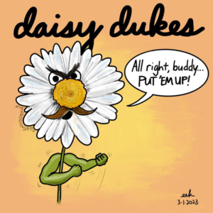 80stv, daisies, daisy, daisyduke, daisydukes, dukesofhazzard, fighter, fighting, flowers, putemup
