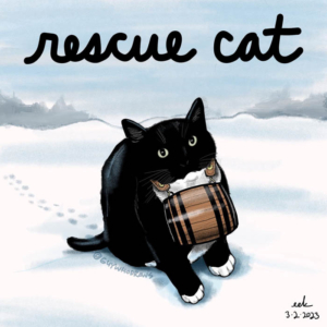 cat, cats, internationalrescuecatday, rescue, rescuecat, stbernard, tuxedocat