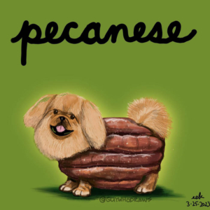 dog, doglife, dogs, nuts, pecan, pecanday, pecans, pekingese, pekingeselove