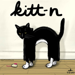 alphabet, alphabetart, cat, cats, caturday, n, skittercritters, tuxedocat