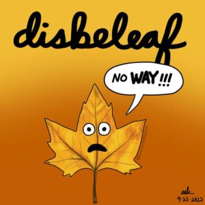 autumn, autumnvibes, disbelief, fall, falldecor, fallishere, fallvibes, leaves, noway, omg