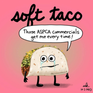 emotional, nationalsofttacoday, softie, softtaco, softtacos, tacolover, tacos, tacotuesday