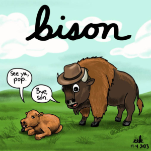 bison, bisonbisonbison, buffalo, buffalony, nationalbisonday, working