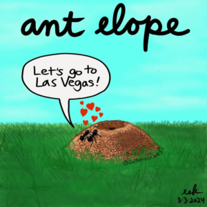 ant, antelope, ants, elope, elopement, eloping, lasvegas, married, marriedcouple, marriedlife, vegaswedding