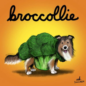 broccoli, broccolisprouts, collie, collielovers, dog, doglife, doglove, dogs, eatyourveggies, nationalbroccoliday, vegetables