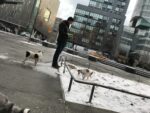 walks4-57