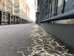 walks4-69