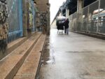 walks4-70